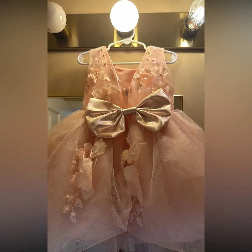 Girls Size 2 Blush Pink Floral Applique Tulle Party Dress w/ Satin Bow